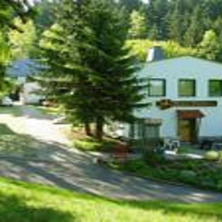 Pension Waldidyll Stützerbach Exterior foto